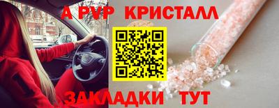 шишки Апшеронск