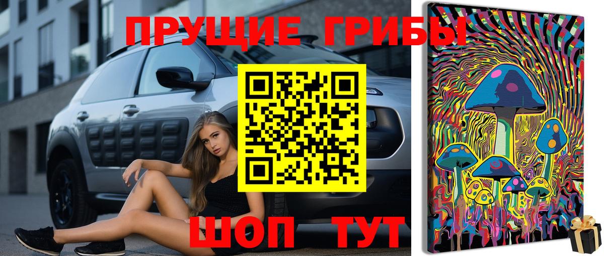Галлюциногенные грибы Magic Shrooms  Галлюциногенные грибы Magic Shrooms  Аргун  Вход с VPN 
