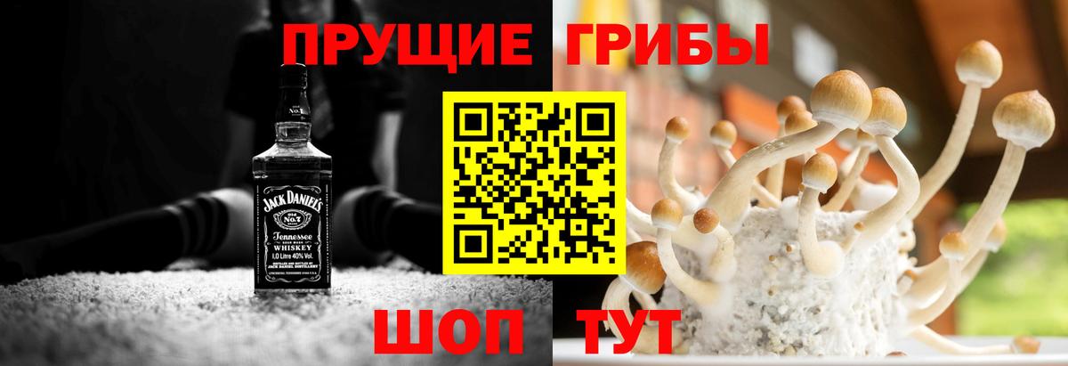 Псилоцибиновые грибы Psilocybine cubensis Аргун