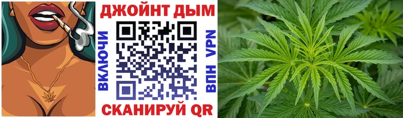 сколько стоит  Аргун  Конопля планчик 